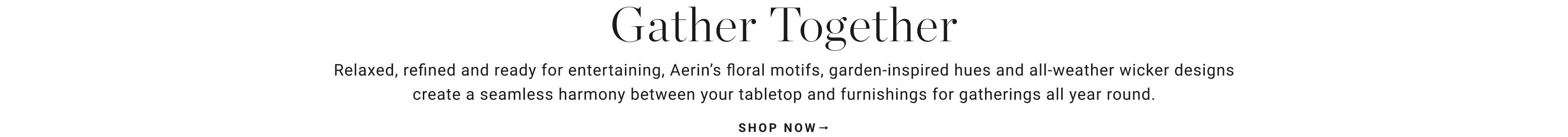 Shop AERIN Garden Bouquet