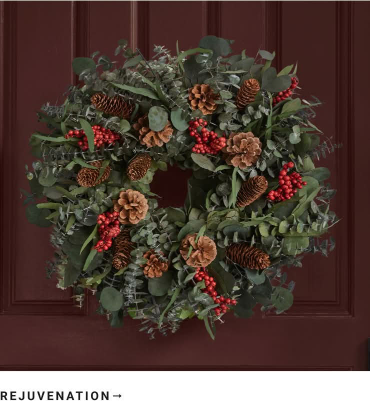 Rejuvenation Rejuvenation