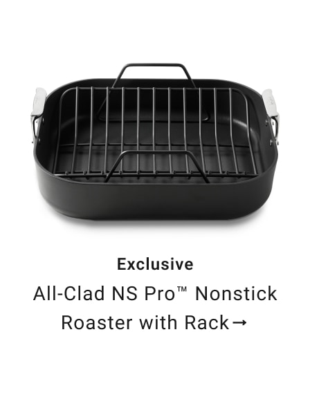 All-Clad NS Pro Nonstick Roaster with Rack
