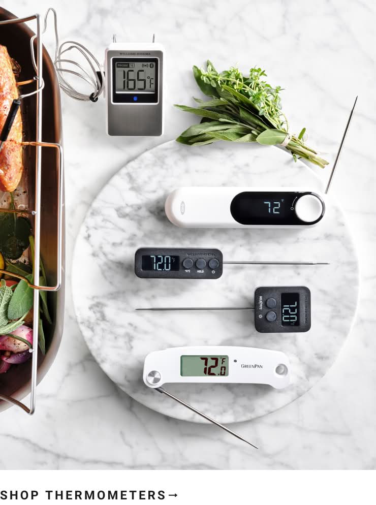 Shop Thermometers