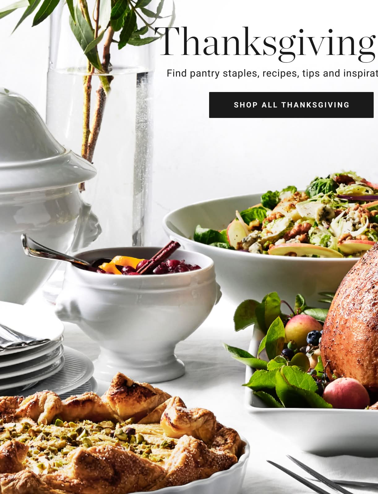 Shop All Thanksgiving