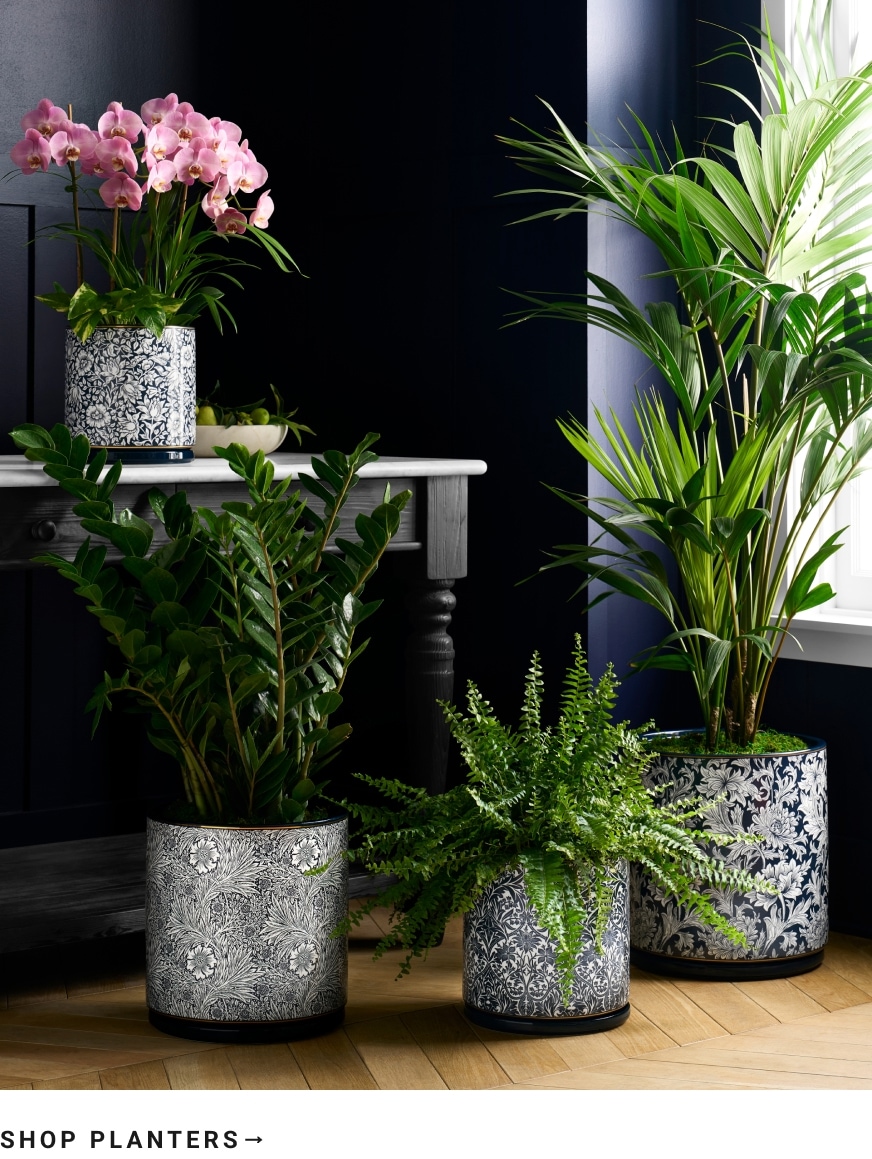 Shop Planter Pots