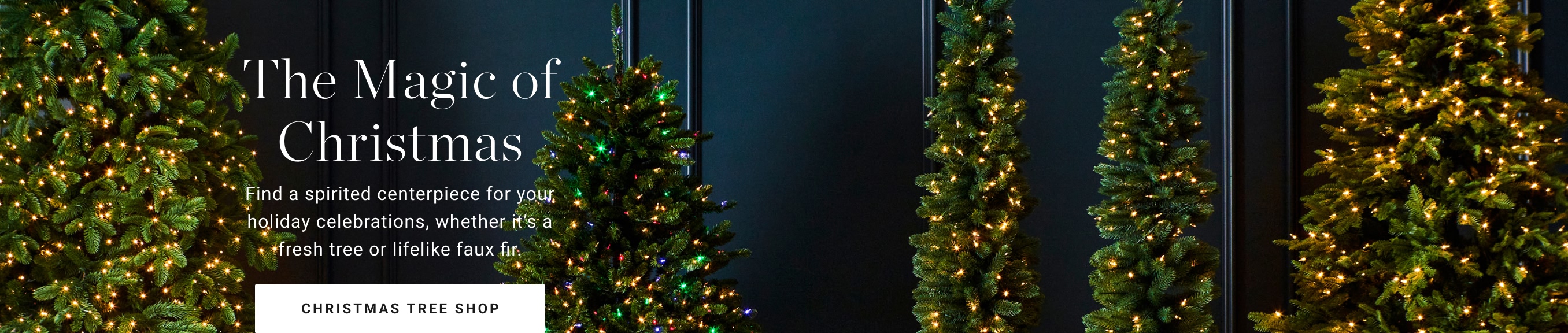 Shop Christmas Trees