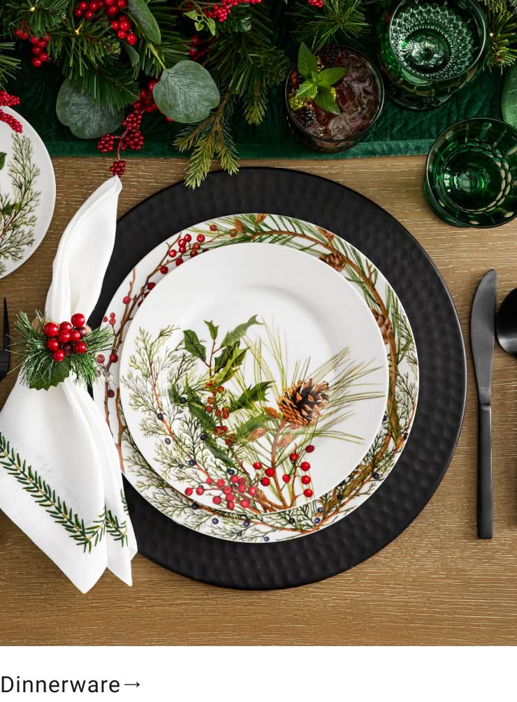 Shop Dinnerware
