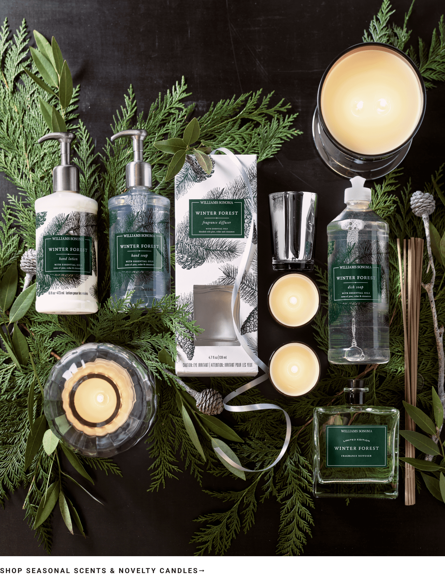 Shop Seasonal Scents
