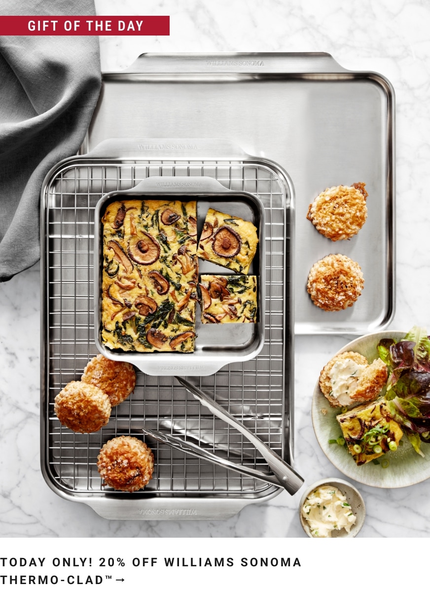 GIFT OF THE DAY! 20% Off Williams Sonoma Thermo-Clad™