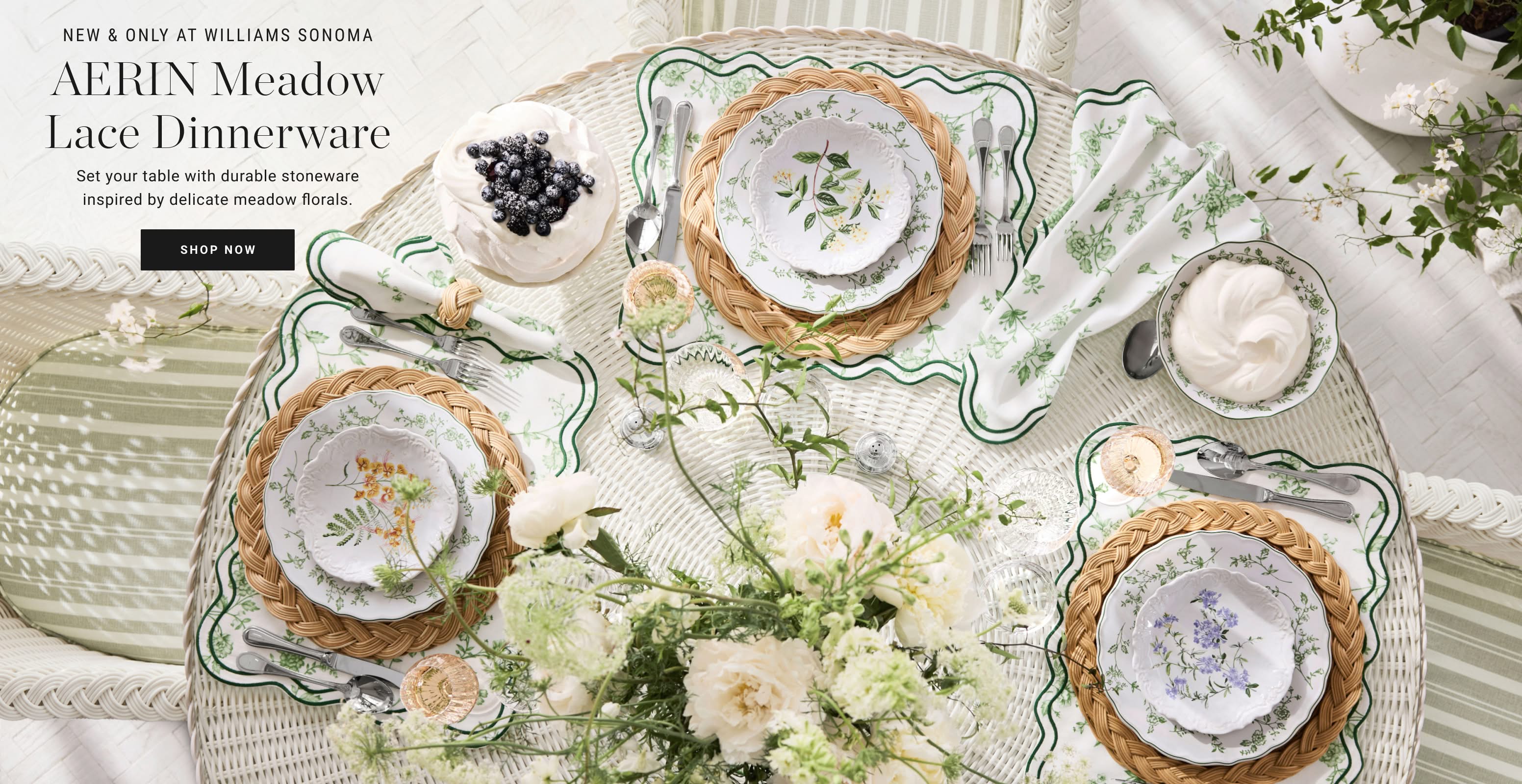 Shop AERIN Meadow Lace Dinnerware