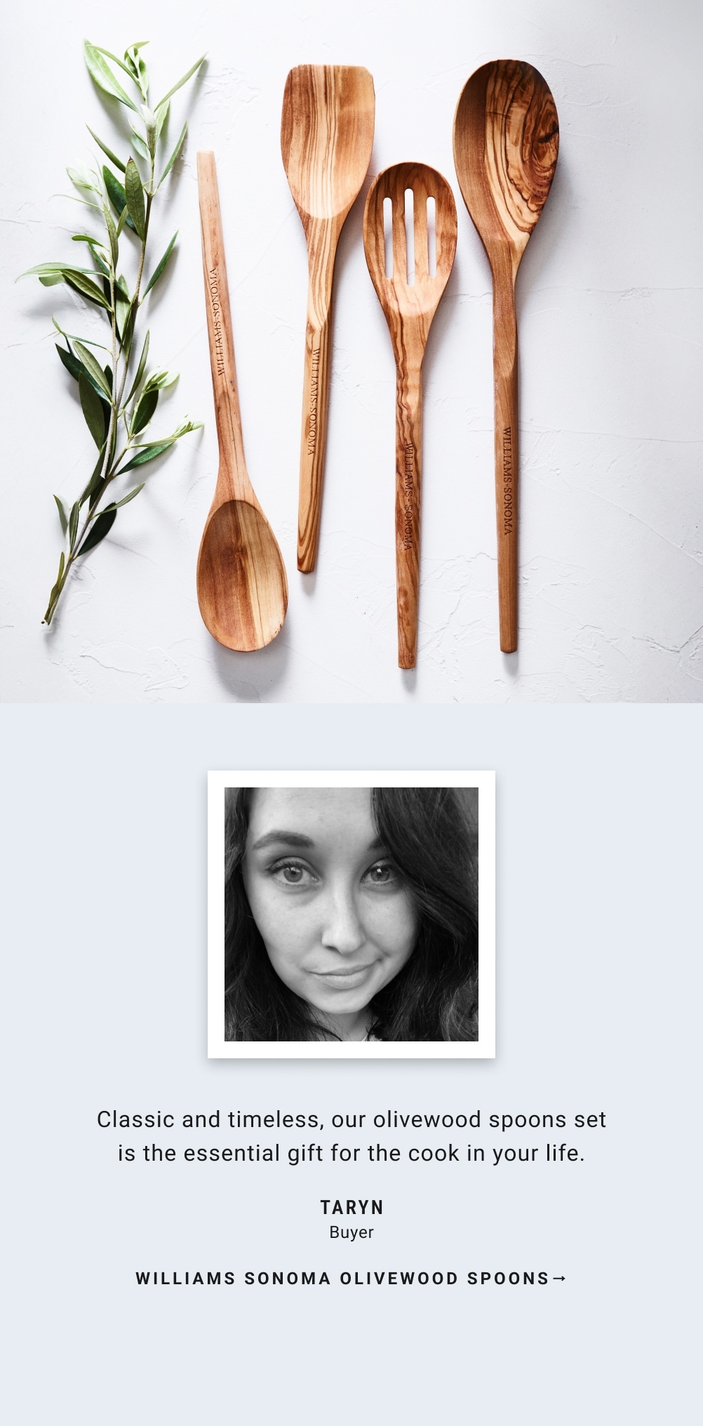 Williams Sonoma Olivewood Spoons