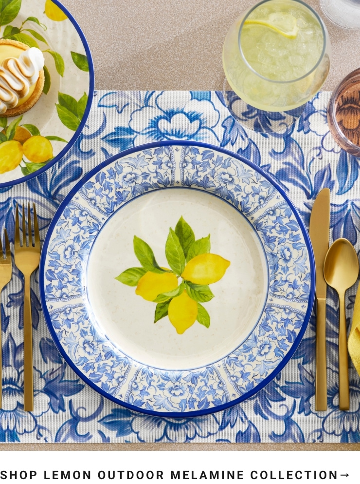 Shop Lemon Outdoor Melamine Collection Shop Lemon Outdoor Melamine Collection