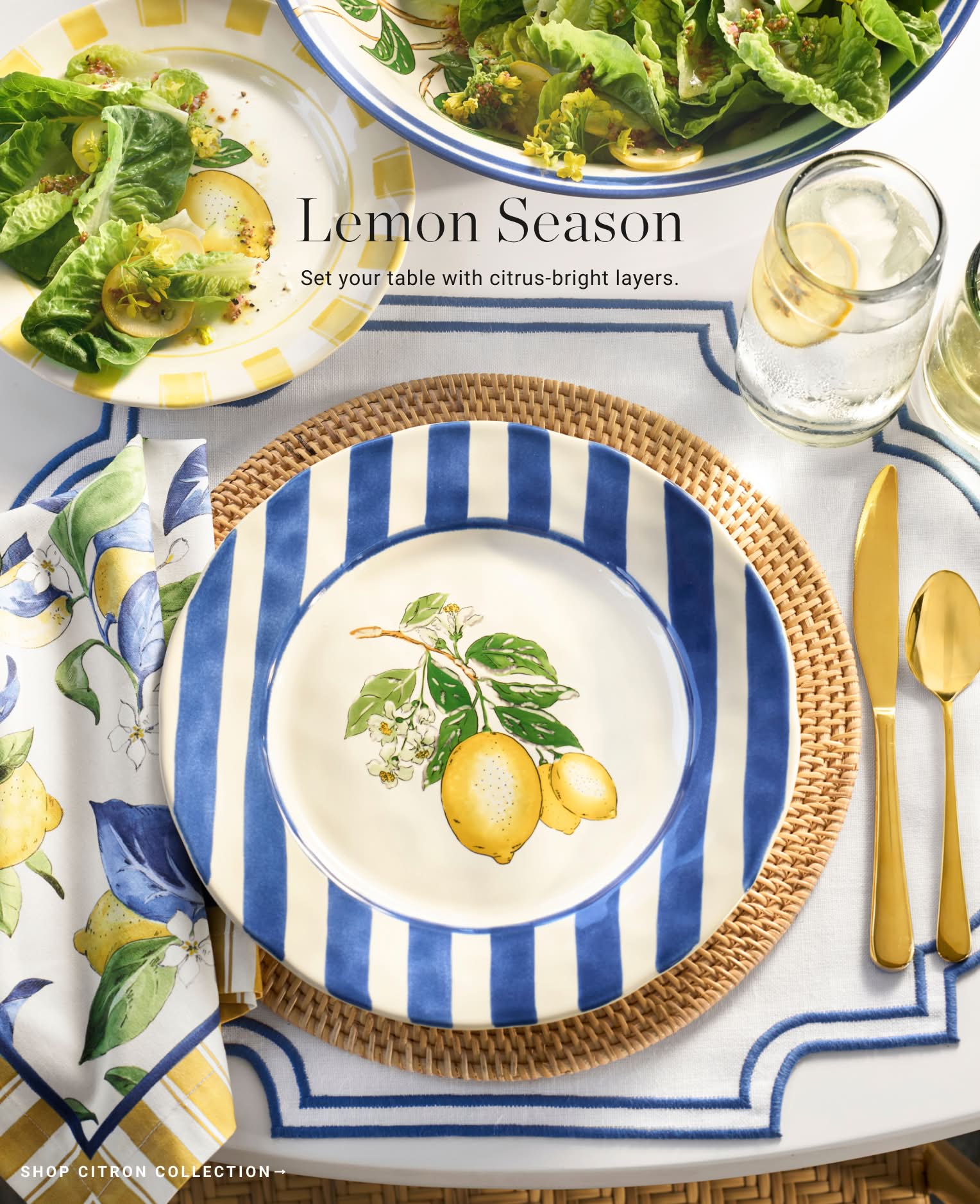 Shop Citron Collection Shop Citron Collection