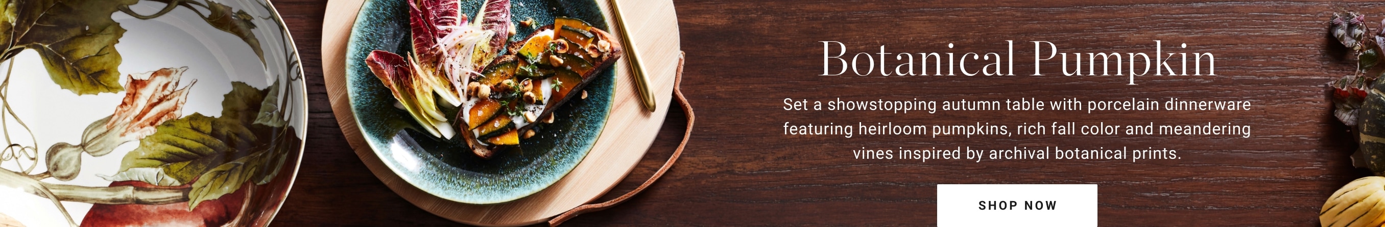 Shop Botanical Pumpkin Dinnerware Collection