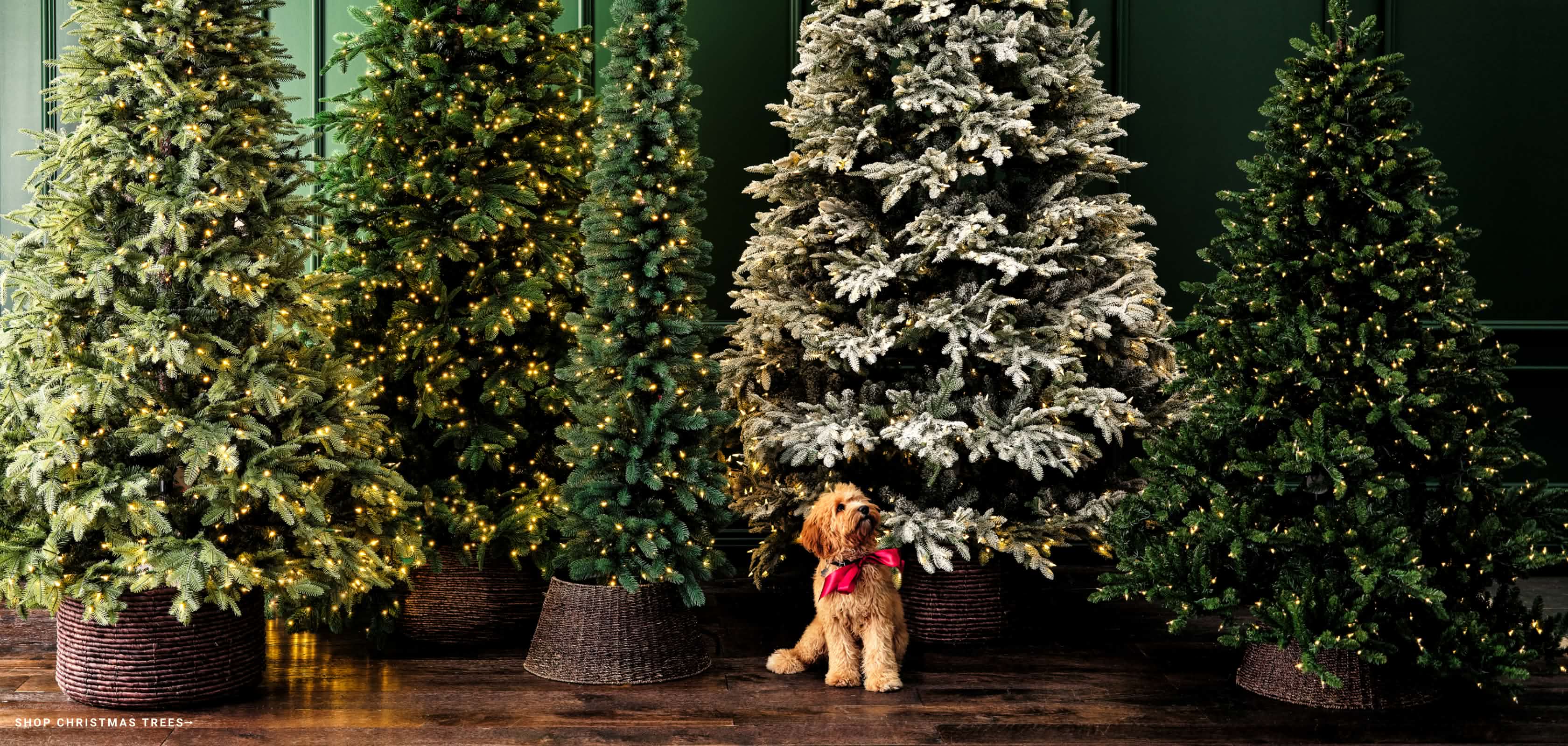 Shop Christmas Trees