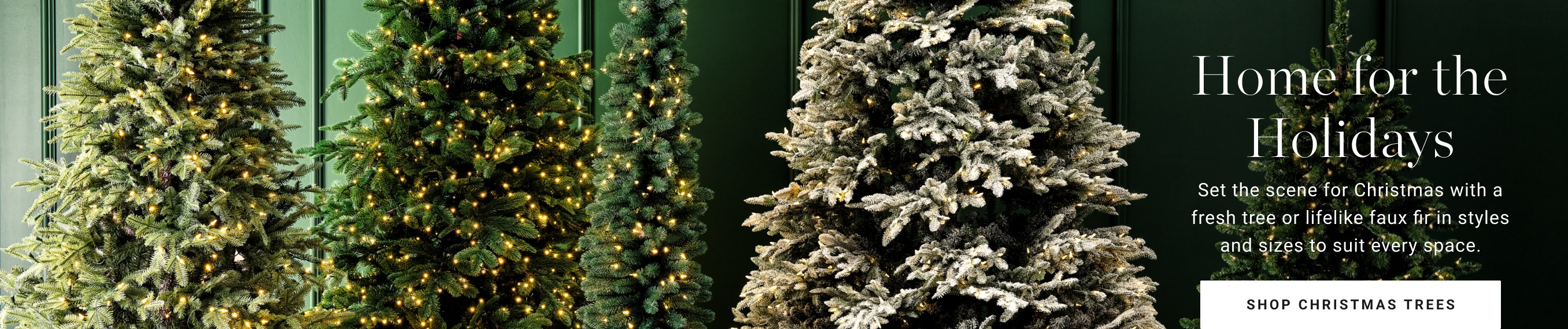 Shop Christmas Trees