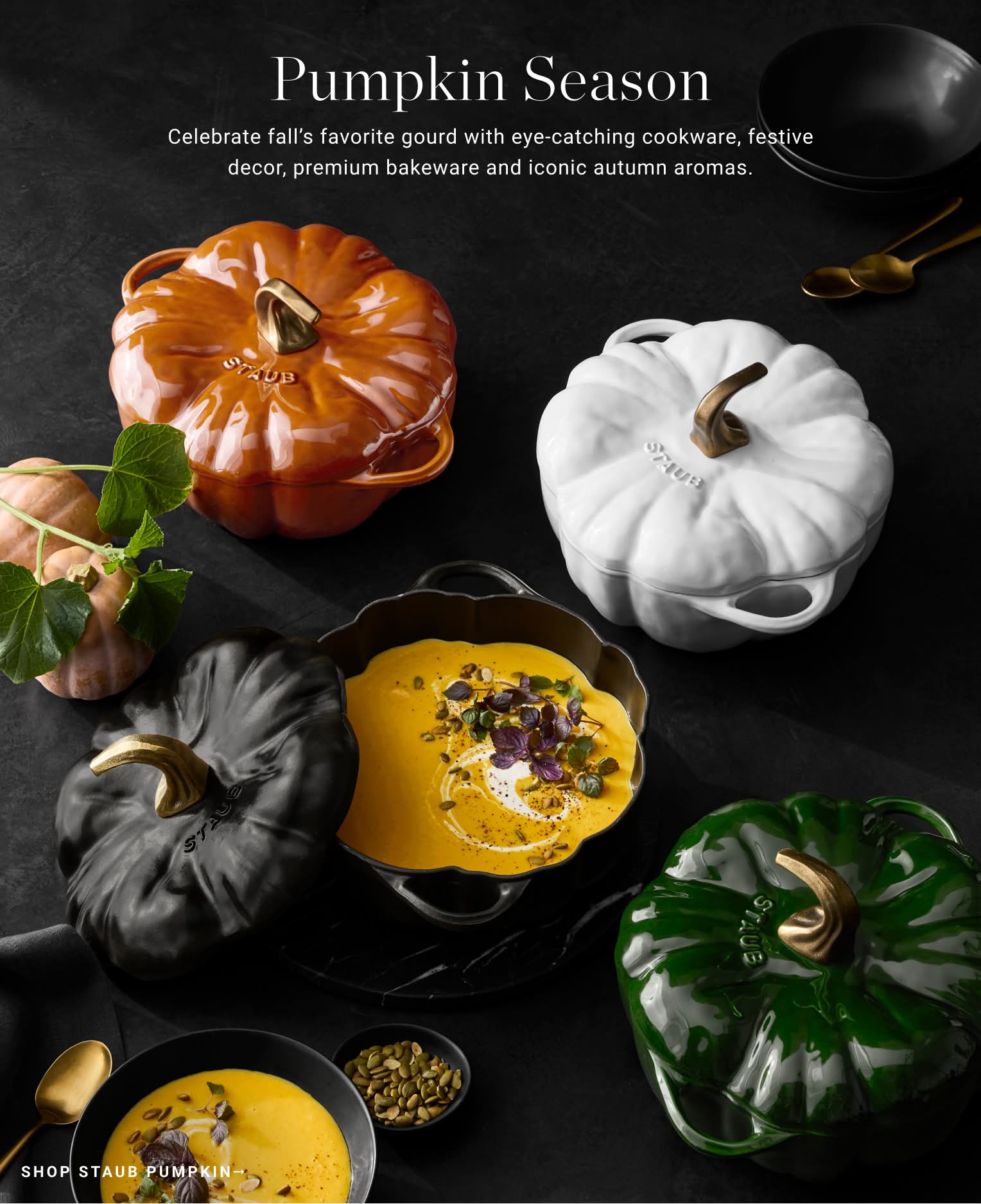 Shop Staub Pumpkin