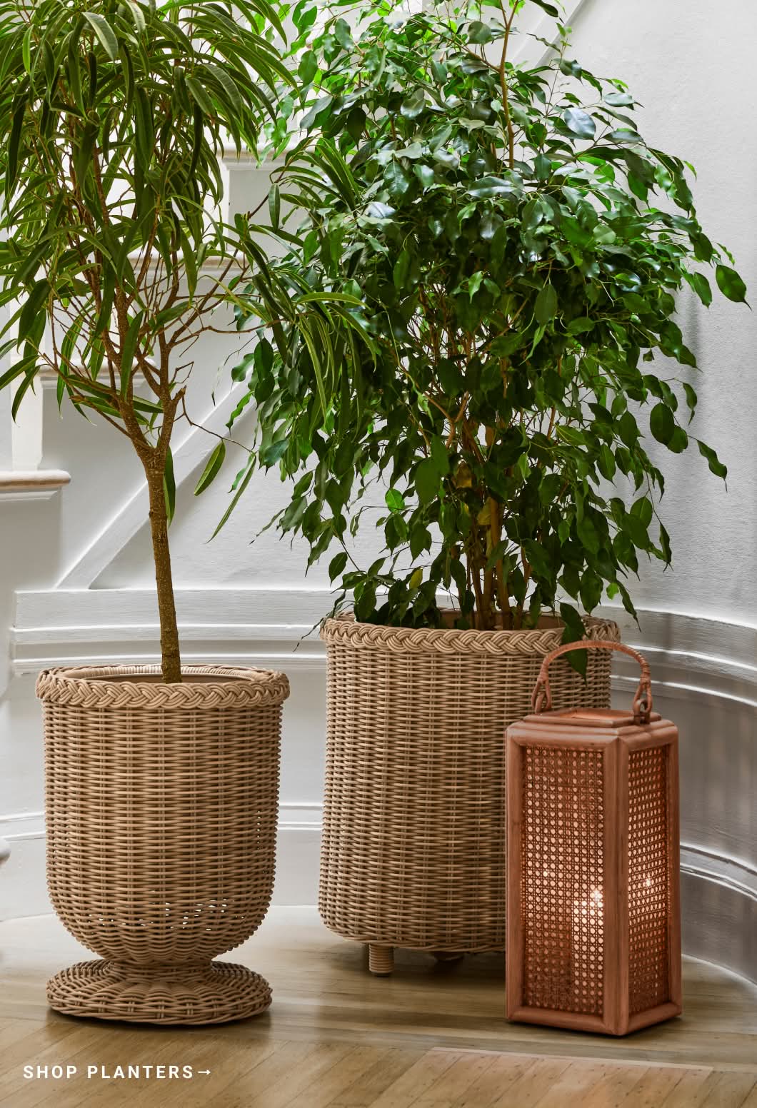 Shop Planters