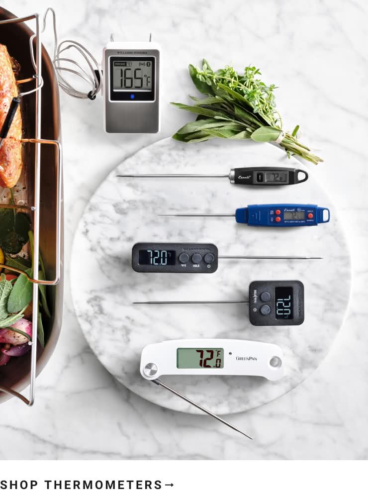 Shop Thermometers