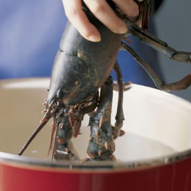 Halving And Cleaning Lobster Williams Sonoma