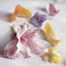 Candying Fresh Flowers<br>and Citrus Zest