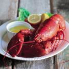Steamed Lobster with Drawn Butter
