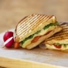 Turkey and Roasted Red Pepper Panini