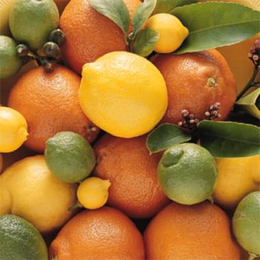 Citrus Glossary