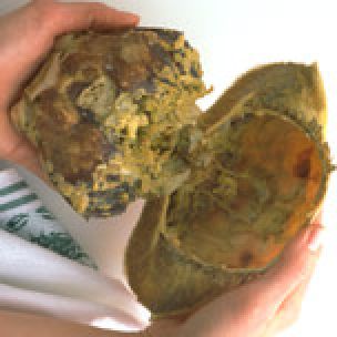 Preparing Fresh Crab