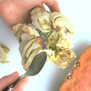 Preparing Fresh Crab