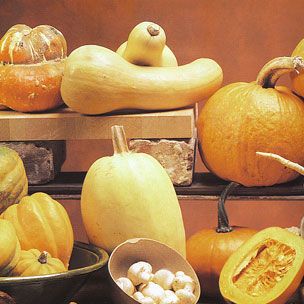 Winter Squash Glossary