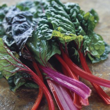 All About Winter Greens