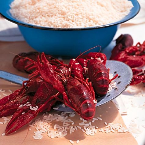 Louisiana Crawfish Boil
