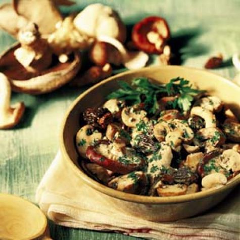 Wild Mushroom Ragout