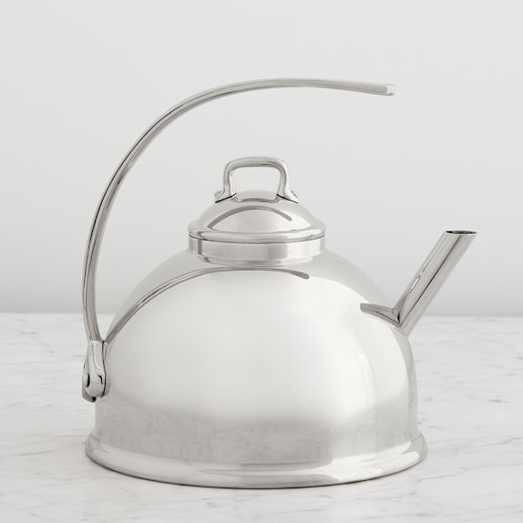 alessi tea kettle reviews