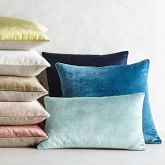 velvet accent pillows