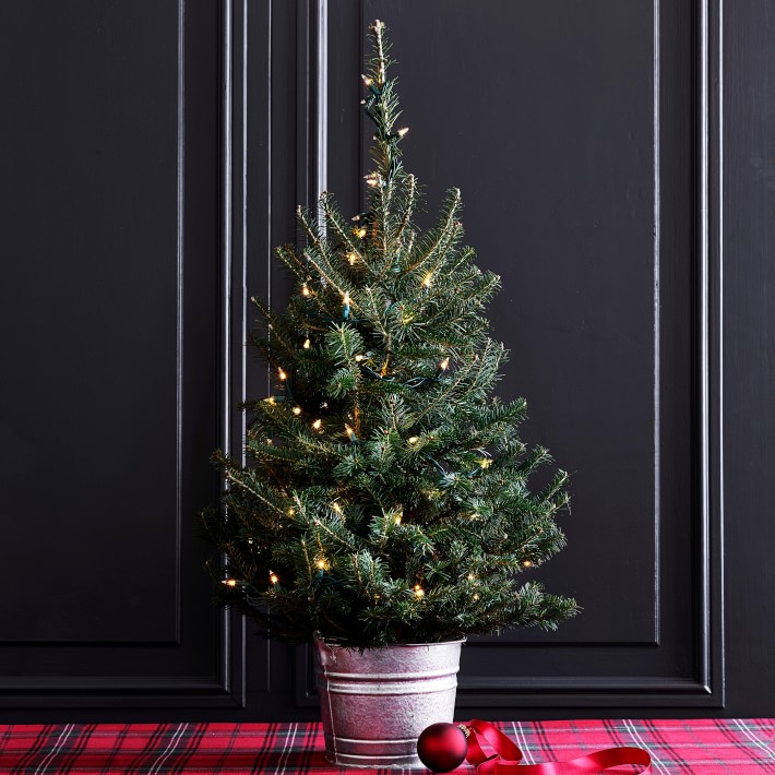 https://assets.wsimgs.com/wsimgs/rk/images/dp/wcm/202037/0071/fresh-tabletop-christmas-tree-with-lights-1-o.jpg