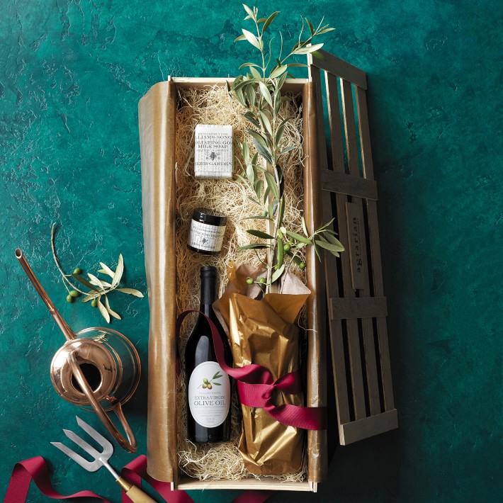 Arbequina Olive Crate Garden Gift Box Williams Sonoma