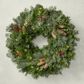 Download Williams Sonoma Christmas Tree Pics