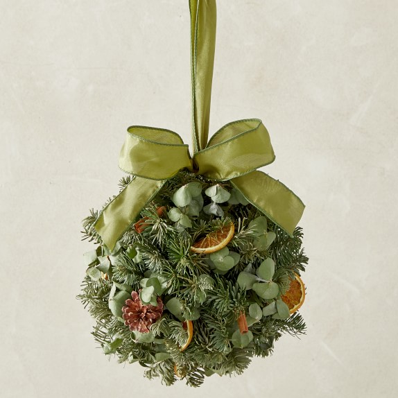 Evergreen Orange Kissing Ball Williams Sonoma