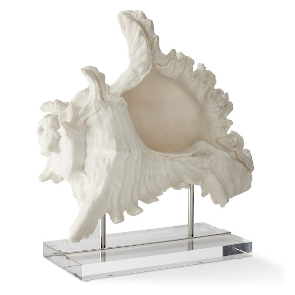 Sea Life Object On Stand Conch Shell Decorative Object Williams Sonoma