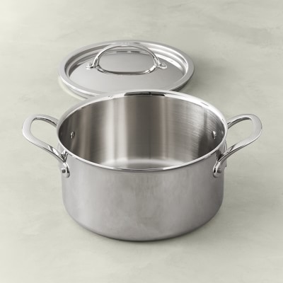 Williams Sonoma Signature Thermo-Clad™ Stainless-Steel Stock Pot ...