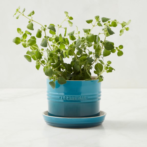 Details about   Le Creuset Stoneware Flower Herb Planter with Tray & Stand & Marker Lavender NEW 