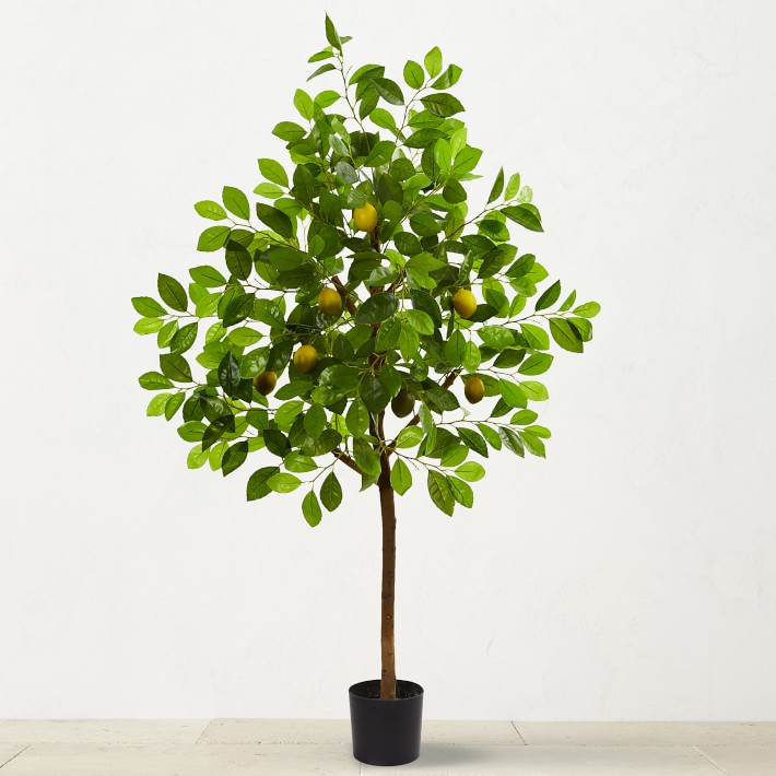 Faux Lemon Tree Williams Sonoma