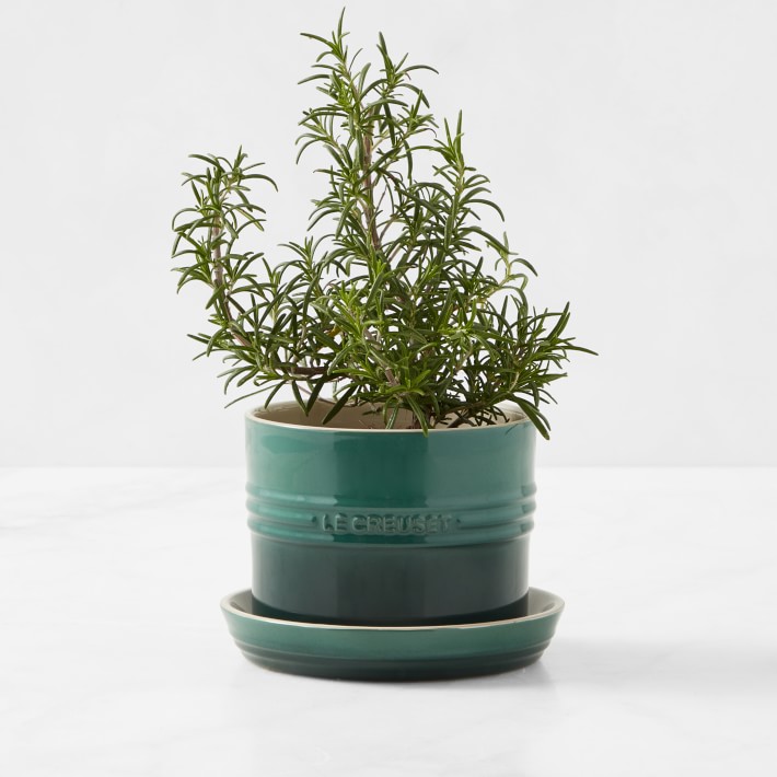 Le Creuset Herb Planter with Tray Williams Sonoma