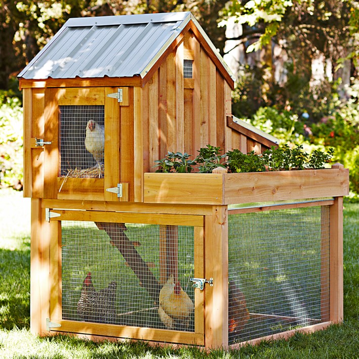 Cedar Chicken Coop & Run with Planter Williams Sonoma