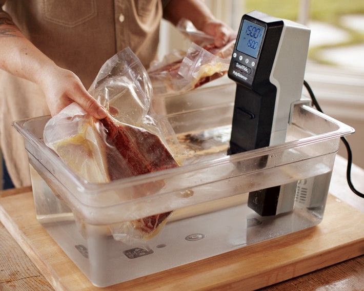 professional immersion circulator