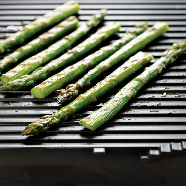 williams sonoma panini press breville