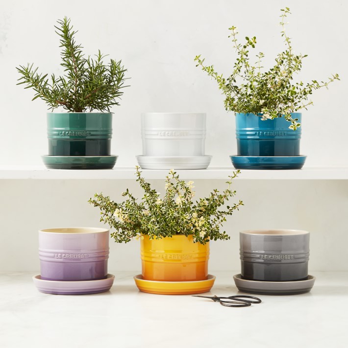 Le Creuset Herb Planter With Tray Williams Sonoma