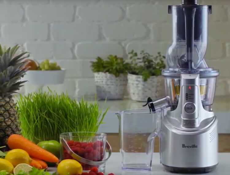 Breville Big Squeeze Slow Juicer Williams Sonoma
