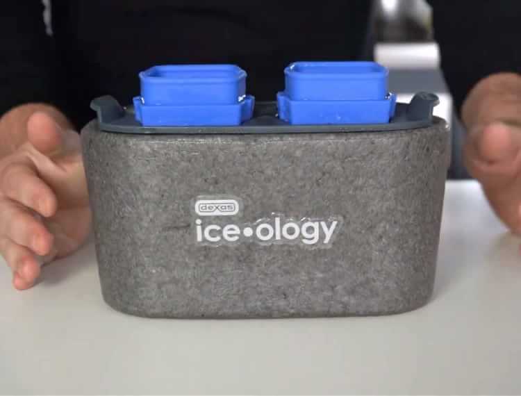 Dexas Iceology Clear Ice Cube Mold Williams Sonoma