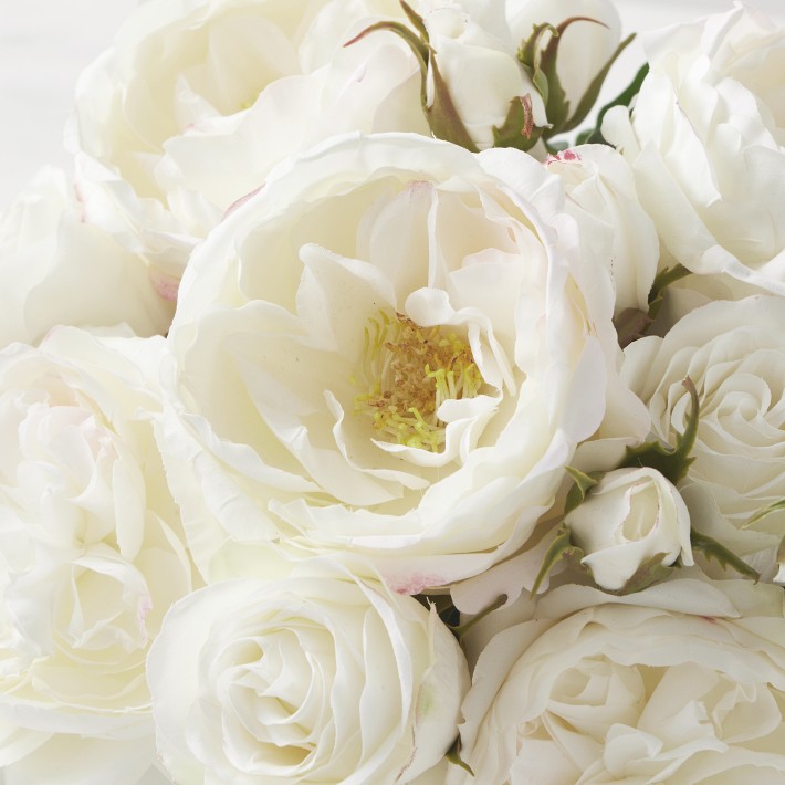Faux White Rose Arrangement in Small Square Vase Williams Sonoma