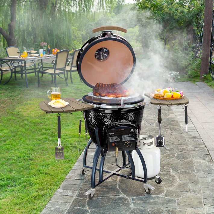 Vision Grills CSeries Hybrid Kamado Superbundle Williams Sonoma